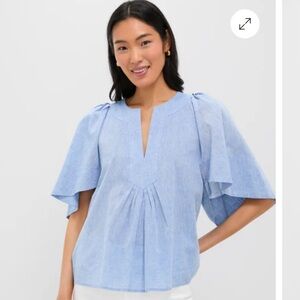 🐬 Pomander Place  Chambray Finely Flutter Sleeve Top